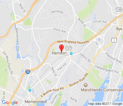 logo-image - harrison-ny